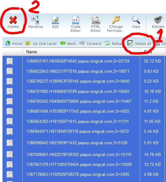 Cara Menghapus Email/File Melalui Cpanel  Singcat Blog